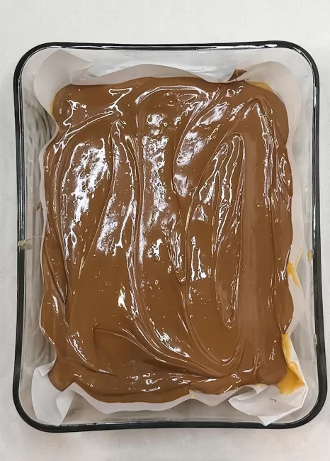 melted chocolate spread over Chocolate Bar Fudge