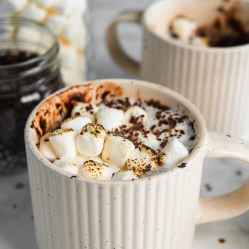 hot chocolate mug cake